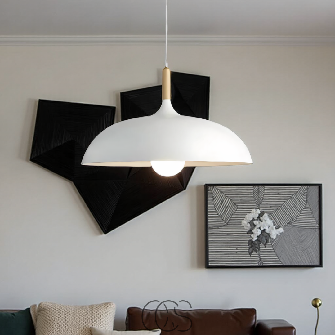 Dirron - Modern Matte Black Ceiling Lamp