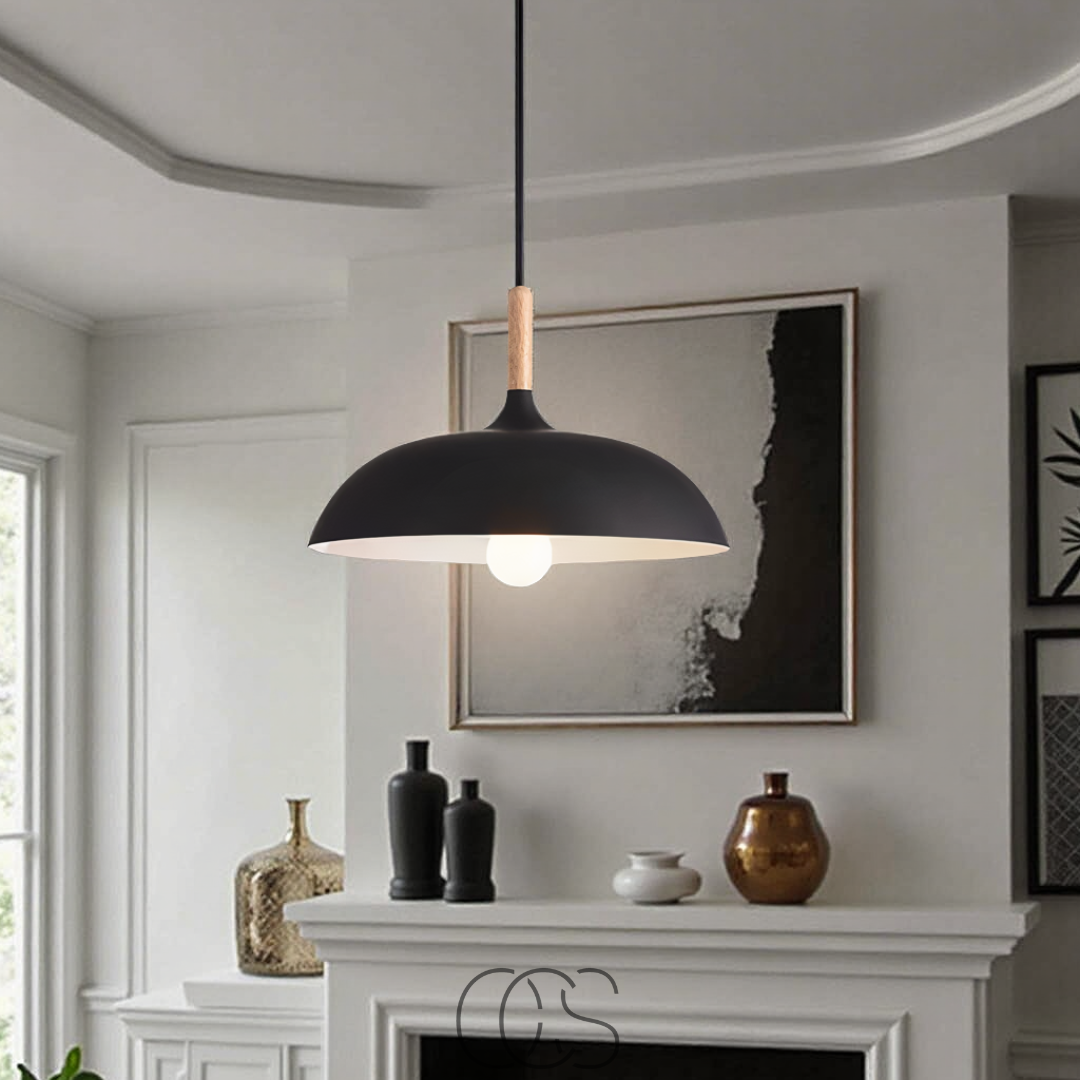 Dirron - Modern Matte Black Ceiling Lamp