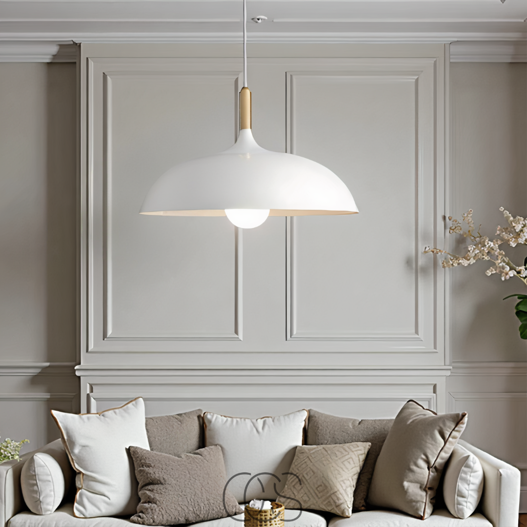 Dirron - Modern Matte Black Ceiling Lamp