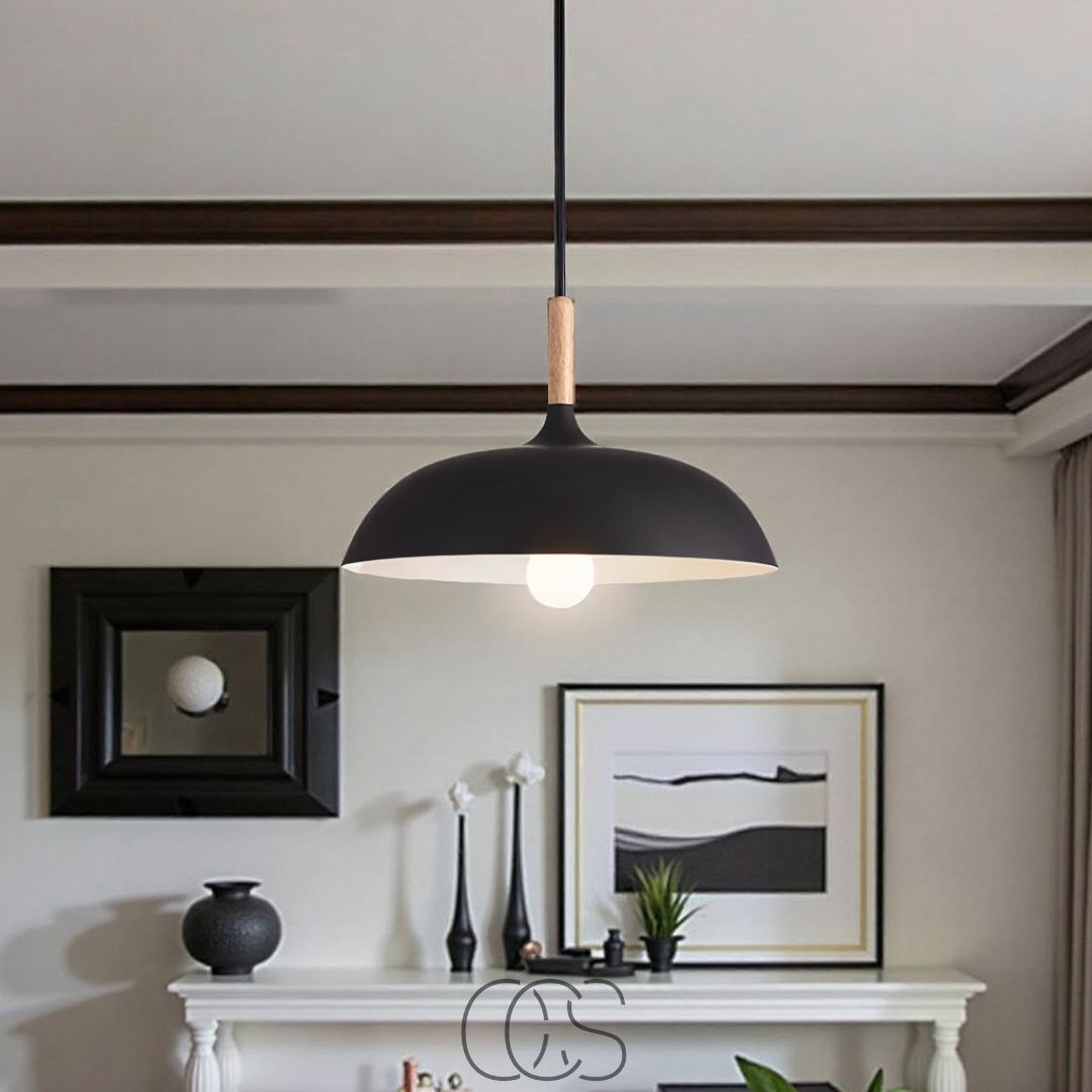 Dirron - Modern Matte Black Ceiling Lamp