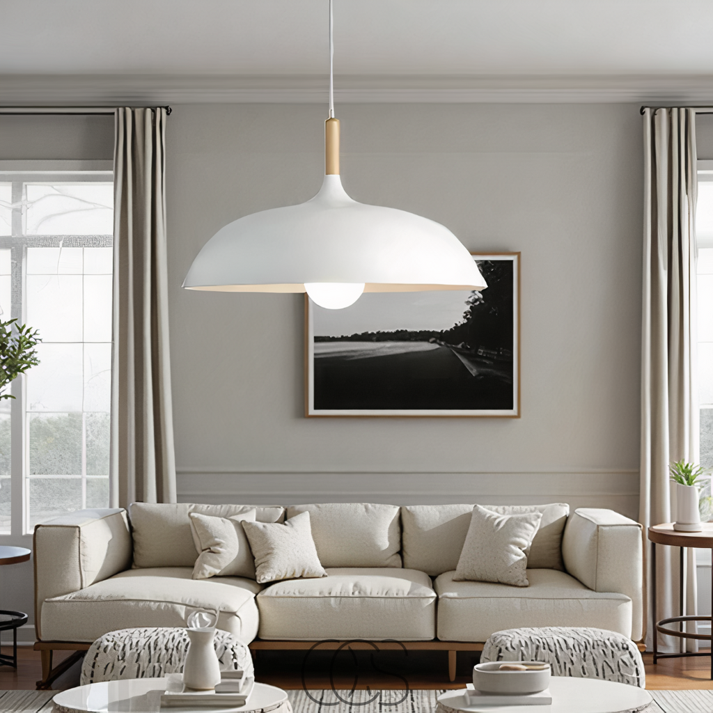 Dirron - Modern Matte Black Ceiling Lamp