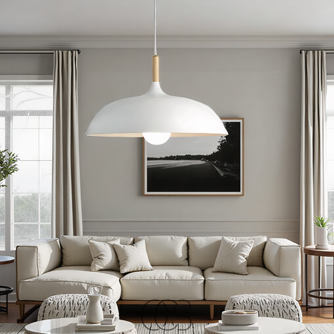 Dirron - Modern Matte Black Ceiling Lamp