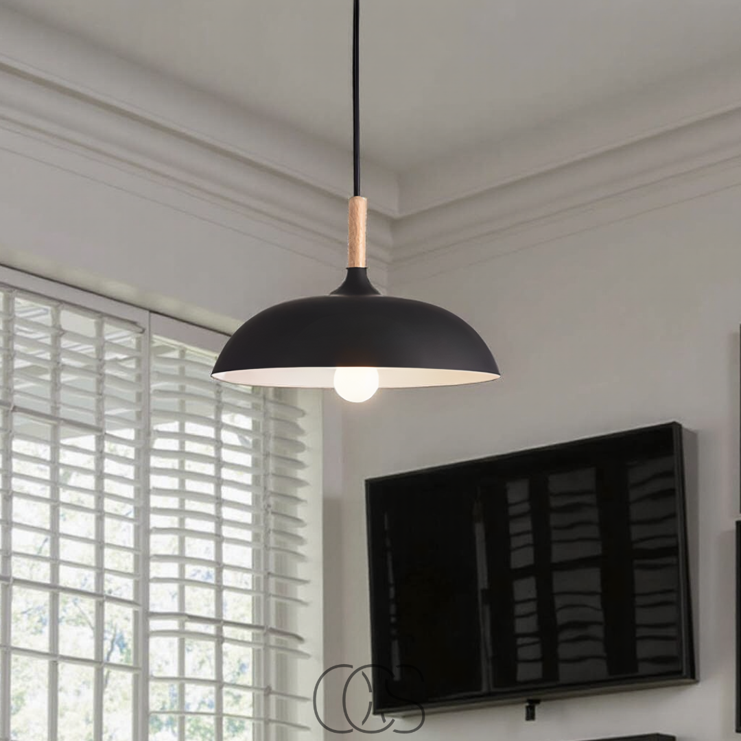 Dirron - Modern Matte Black Ceiling Lamp