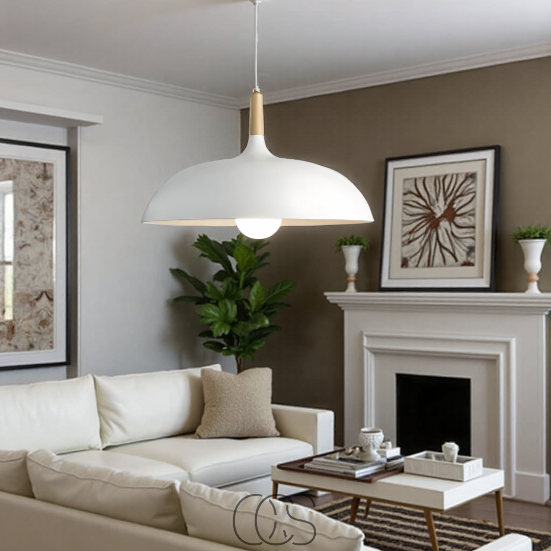 Dirron - Modern Matte Black Ceiling Lamp