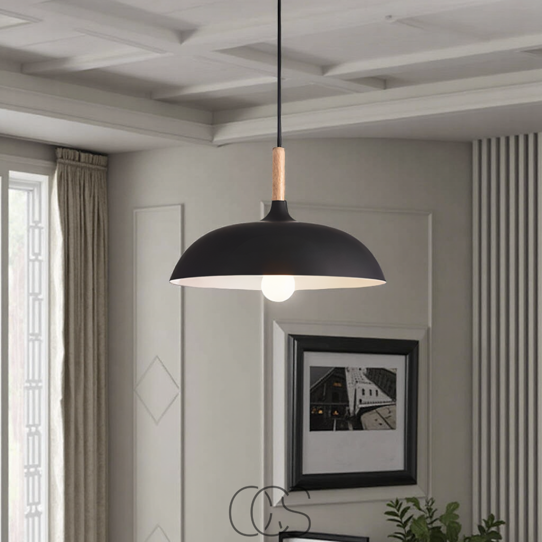 Dirron - Modern Matte Black Ceiling Lamp