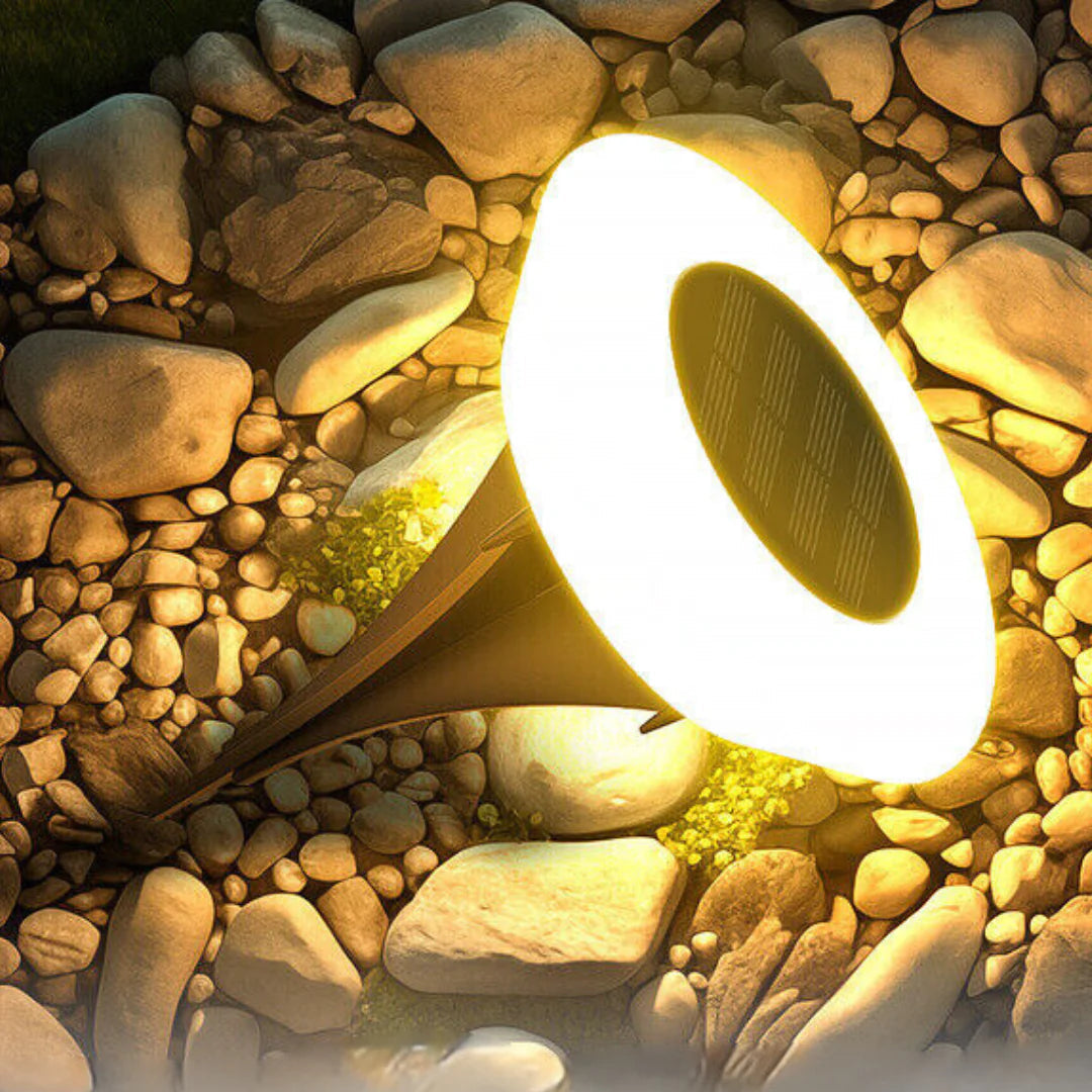 Dirron - Solar LED Ground Lighting - Waterproof IP65 - Durable & Easy