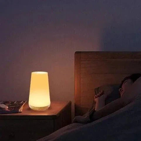 AuraPulse Rechargeable Mood Lamp With Touch Control